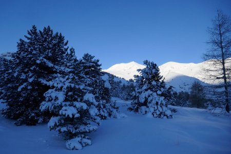 La dizaine de cm de neige fraîche tombée dans la nuit magnifie le décor !