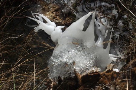 Sculptures de glace originales