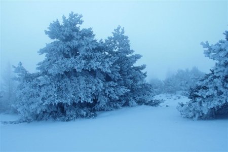 Ambiance au départ