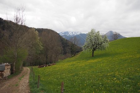 Vue en arrière sur le chemin