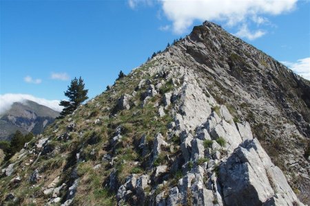 La suite de la crête