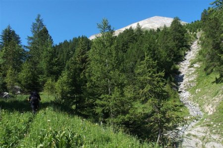 Cette belle pyramide qui dépasse, c’est l’antécime de la Mournière