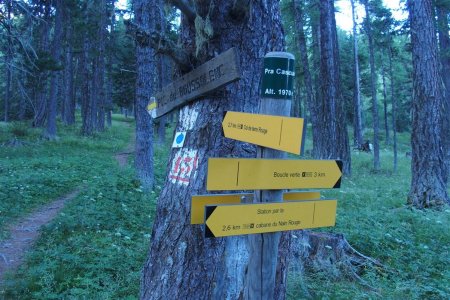 Le chemin est toujours bien indiqué