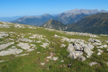 Prairie bien agréable après le pierrier