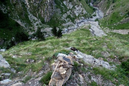 Sur la butte entre le Torrent de la Pisse et le Ravin des Fourches