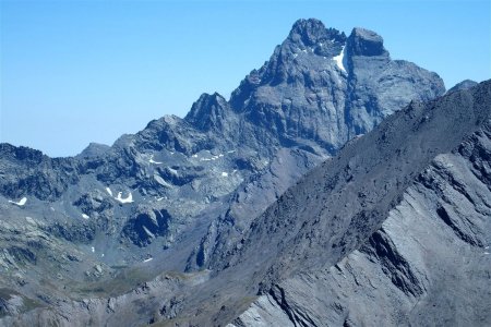 Le maître des lieux