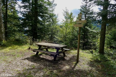 Table à pique-nique