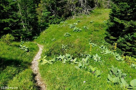 Descente vers Lélex