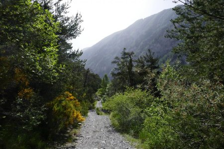 La longue piste qui longe la Bléone.