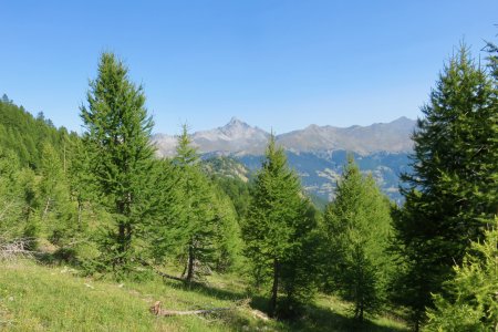 Rochebrune et Sommet Bucher en alignement