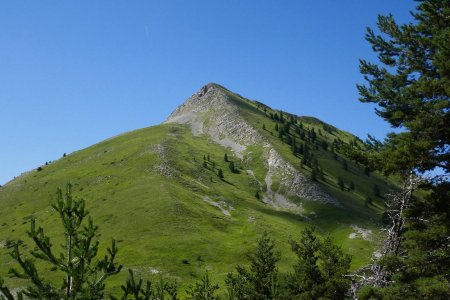 sommet de Grisonnière, bien pentue l’arête  ...