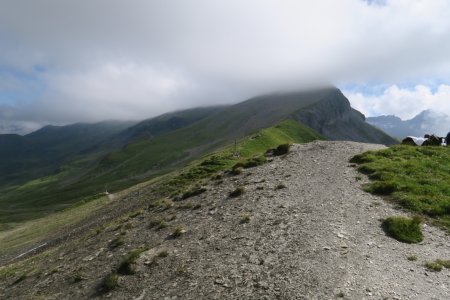 Tête de Moëde vue du Col d’Anterne