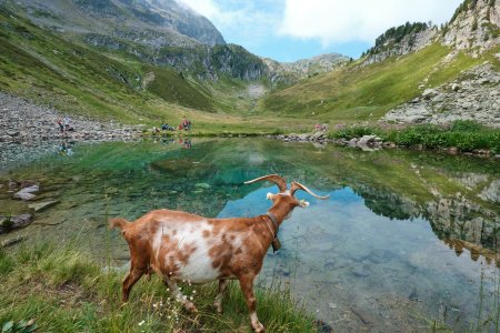 le lac Tournant