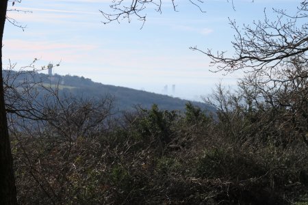 Le Mont Cindre depuis La Corniche