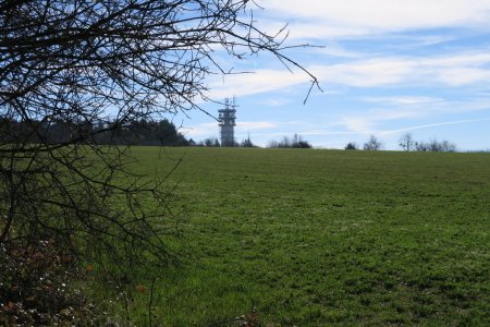 Le Mont Cindre depuis le sentier des Rapaces