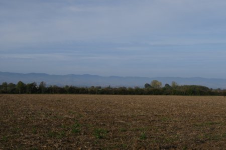 au fond, les Monts du Beaujolais