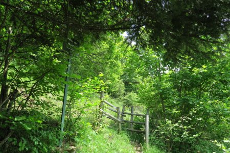 Passage aménagé sur le Sentier des Millières