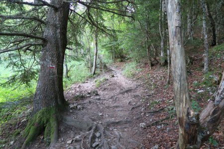 Montée sur le GR91