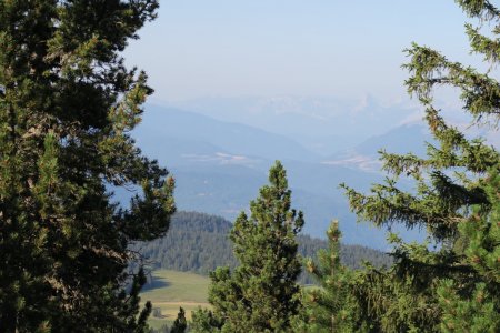 au fond, le Mont Aiguille