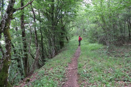 Sur le sentier qui mène à «la Rivoire»