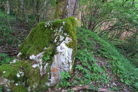 A G. après la source de Combe Noire