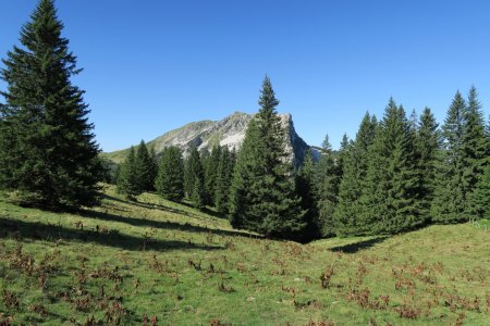 Massif de La Grande Sure