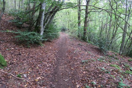 descente vers Beaujeu