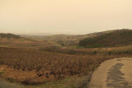 A la sortie du Chardon, vers le Val de Saône