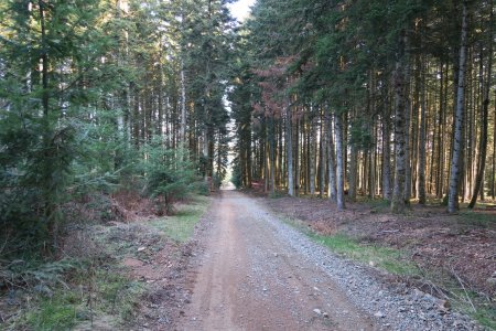 Un boulevard ce sentier !