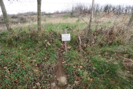 Sur le Sentier Botanique