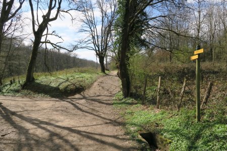 Retour vers «Côte Rivière»