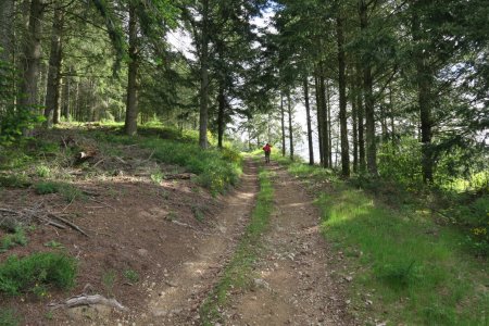 Entrée dans le Bois Dessartet