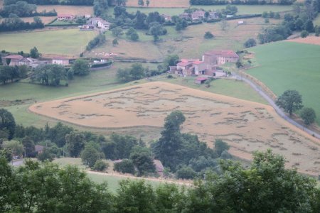 La grêle est passée par là