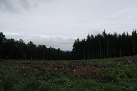 Col de la Croix des Fourches