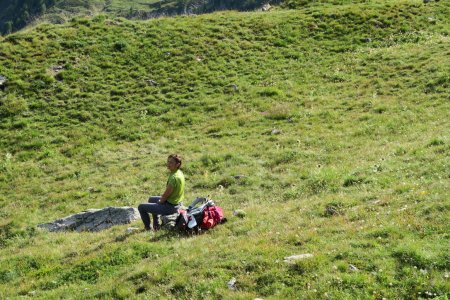 Calme et verdure