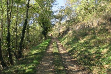 Direction le «Col du Châtoux»