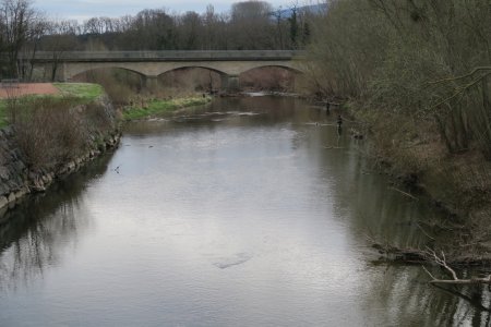 L’Azergues et ses pêcheurs