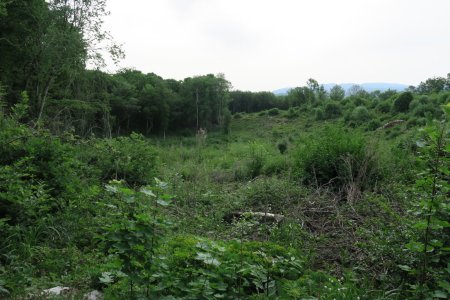 Ce sentier nous emmène vers Villebois :(