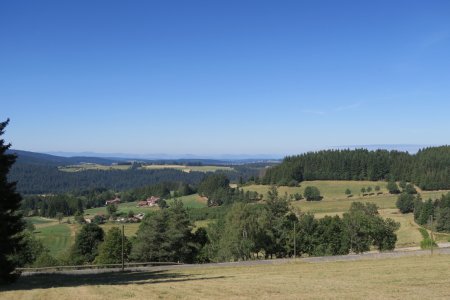 Vers le Mont Mézenc