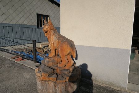 Un Lynx...sculpté