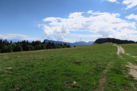 Plateau de la Molière