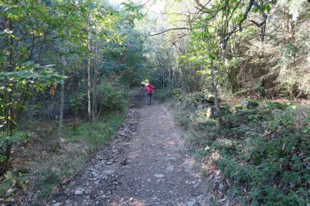 Montée vers le Crêt de Chaume