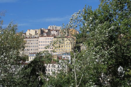 Colline de la Croix-Rousse