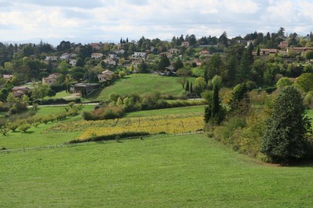 Les vignes de Saint-Fortunat