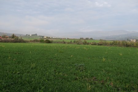 Au loin, la Chapelle de Chagneux