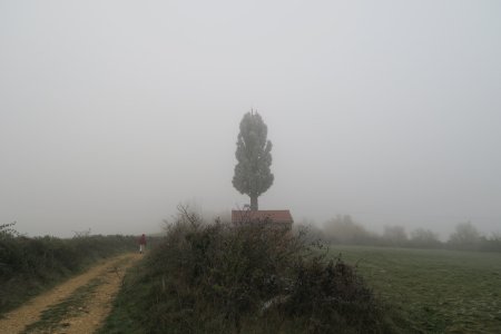 Vrai faux arbre antenne