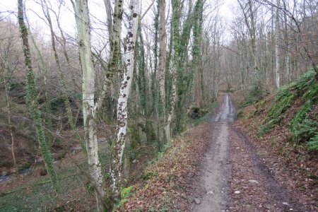 Remontée vers la Ferme de Bajard