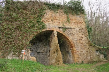 Habitat des chauve-souris