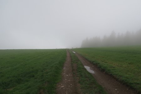 En allant vers La Maconnière