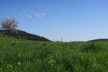 A droite, vue sur...le champ d’éoliennes !